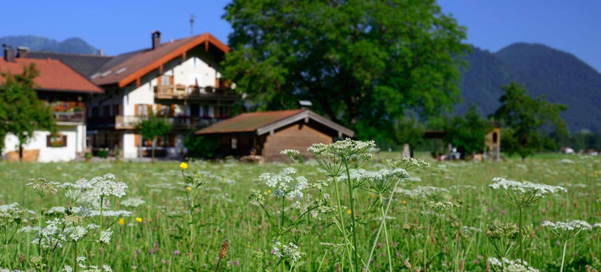 Ferienwohnungen Ramslerhof Inkl. Chiemgaukarte Ruhpolding Eksteriør bilde